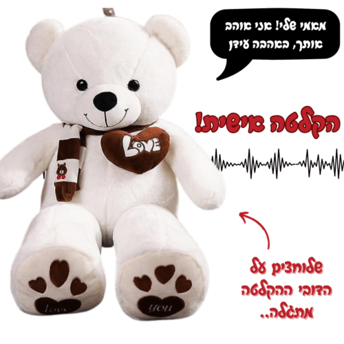 דובי גדול עם הקלטה אישית.
