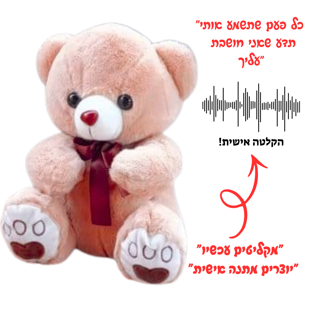 “דובי עם הקדשה מוקלטת”